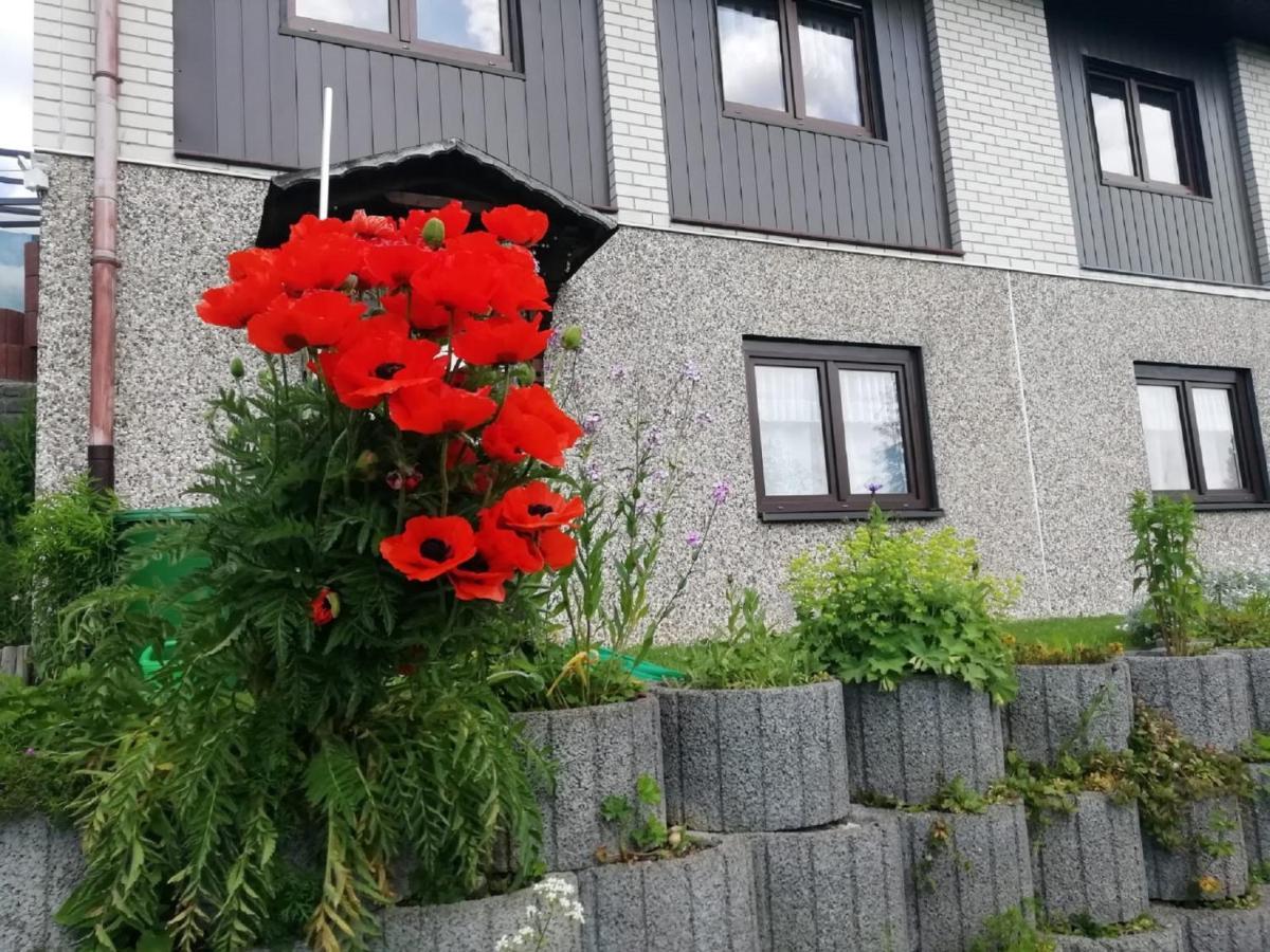 Ferienwohnung Suetovius Oberwiesenthal Exteriör bild